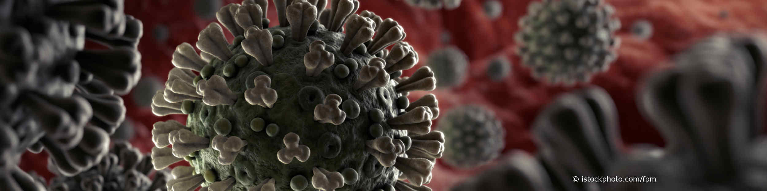3-D-Aufnahme des Coronavirus SARS-CoV-2, ein behülltes RNA-Virus